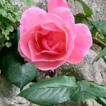Hotel The Originals Boutique, Roca-fortis, Rochefort (Charente-Maritime)